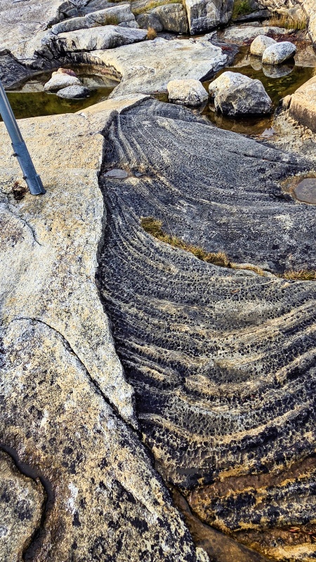 小さな凹凸や窪みは
岩の割れ目に沿った風化または溶食。交互に見える黒色(雲母・角閃石)と白色(石英・長石)。