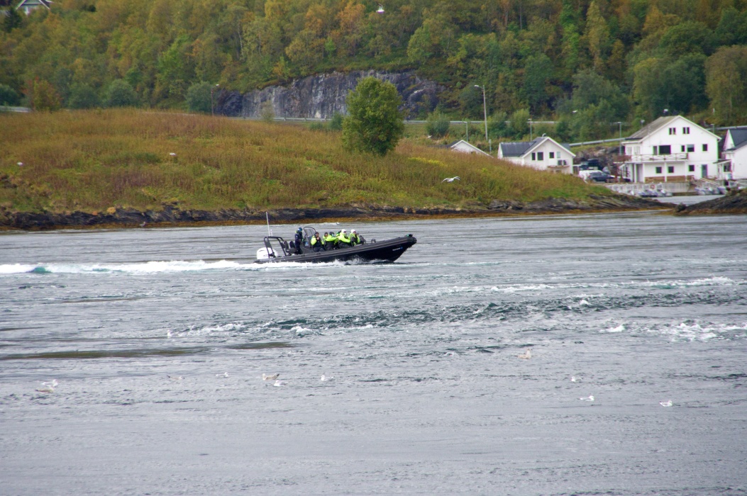 ボートで渦の間をぬって走るツアーも有る。