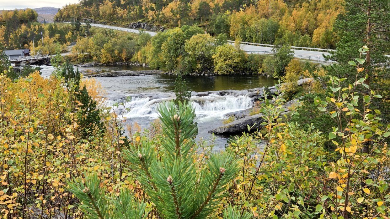 Valnesfossen(ヴァルネス滝)