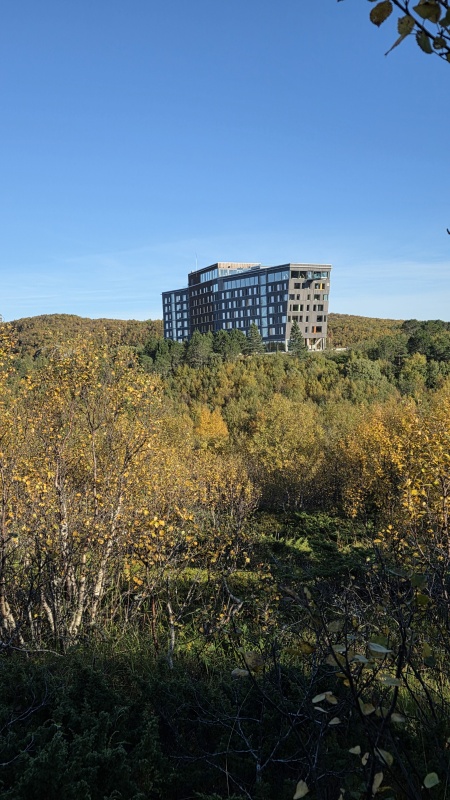 展望台から見るホテル